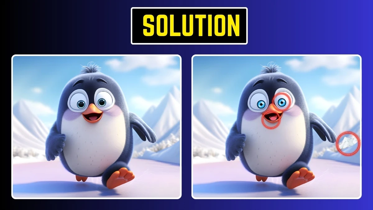 Picture Puzzle IQ Test: Only High IQ Geniuses Can Spot the 3 Differences in this Penguin Image in 8 Secs