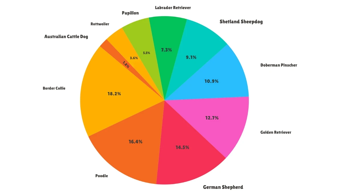 Top 10 Most Intelligence Dog Breeds in 2025: The Smartest Dogs in the World