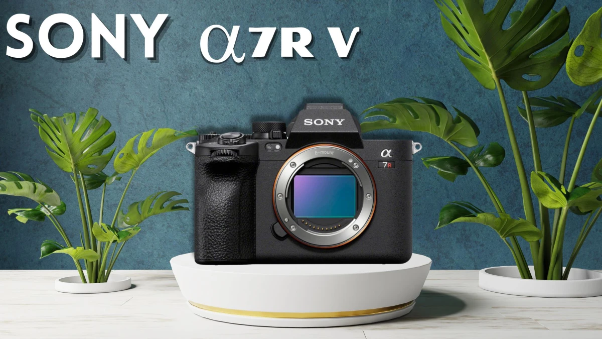 I Found Top 5 Best Mirrorless Cameras in 2025