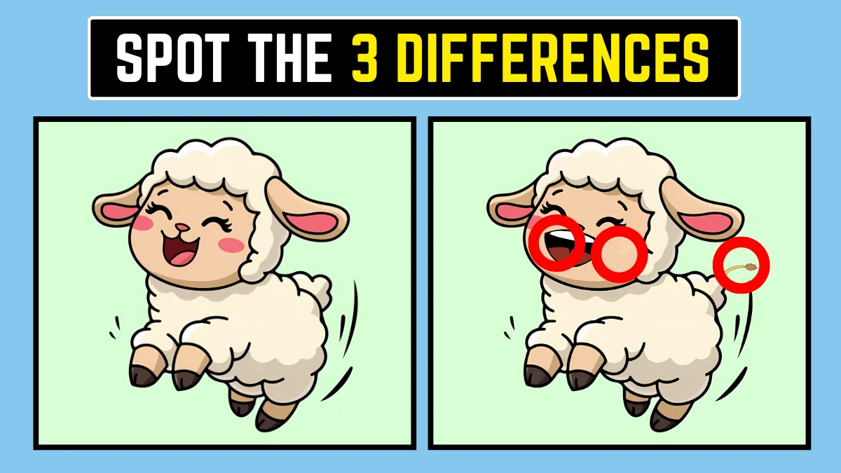 Spot the Difference Game: Only High IQ Geniuses Can Spot the 3 Differences in this Sheep Image in 10 Secs