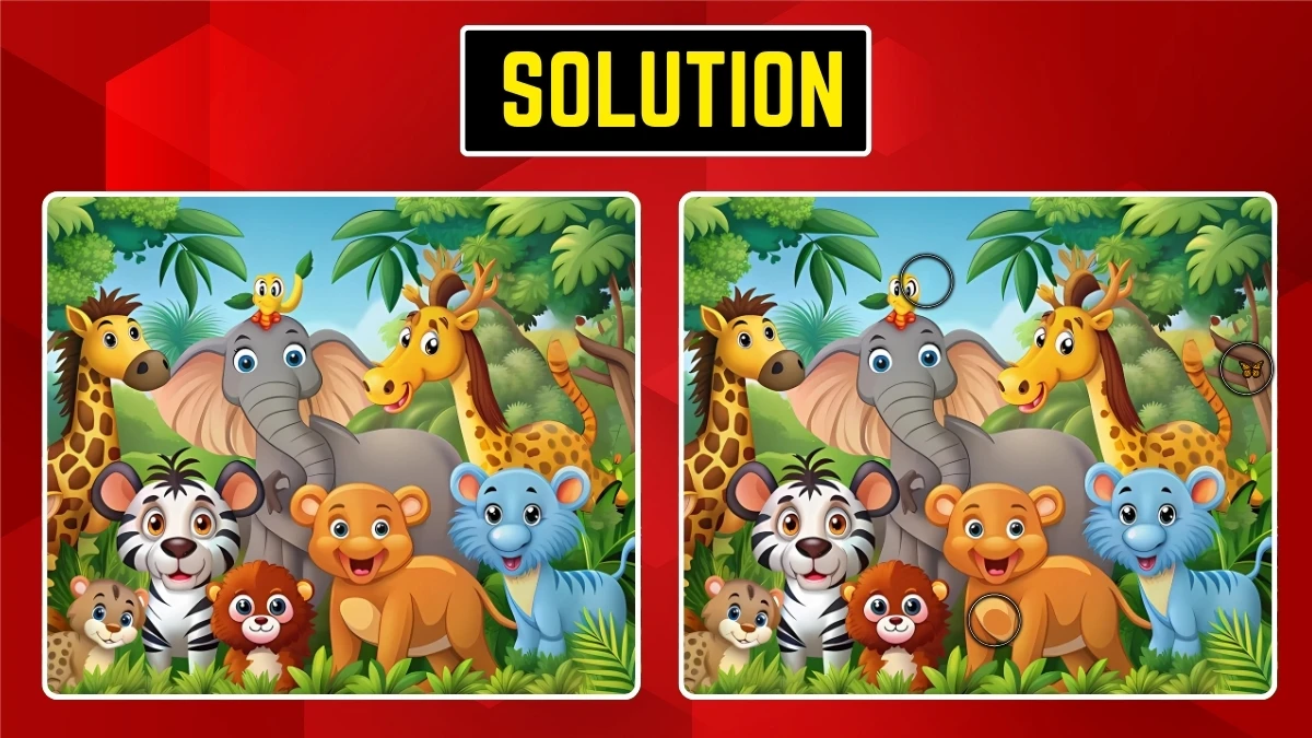 Spot the Difference Game: Only People with Eagle Eyes Can Spot the 3 Differences in 12 Secs
