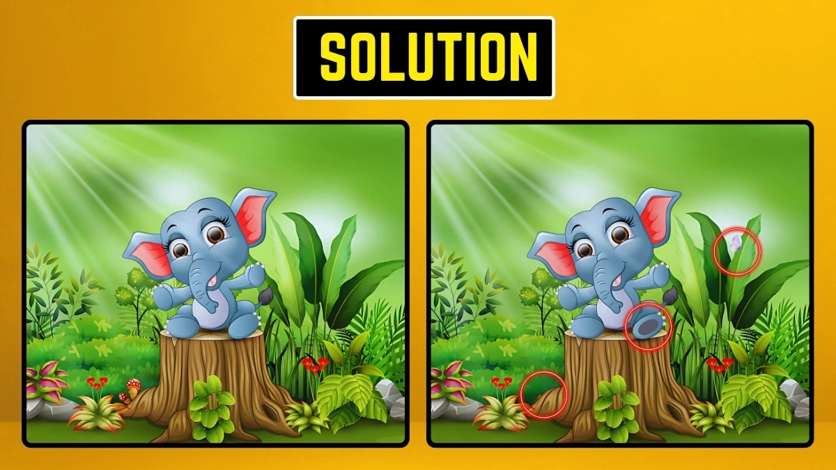 Spot the Difference Game: Within 10 Seconds Spot the 3 Differences in the Elephant Pictures
