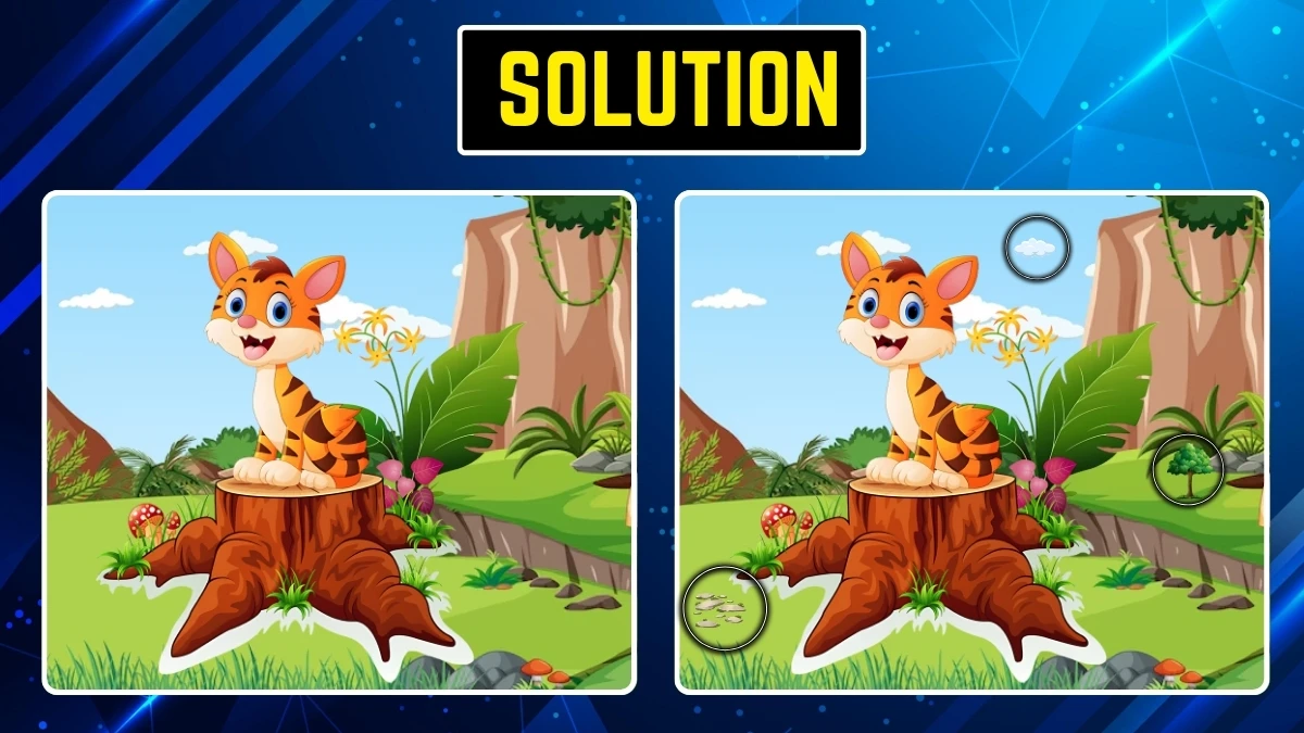 Spot the Difference: Only People with Eagle Eyes Can Spot the 3 Differences in 10 Secs