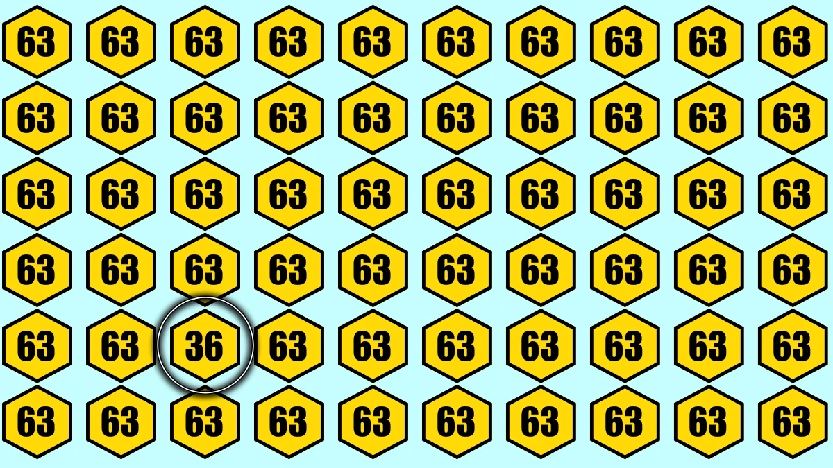 You have eagle eyes and a sharp brain if you can spot 36 among 63s in 6 seconds!