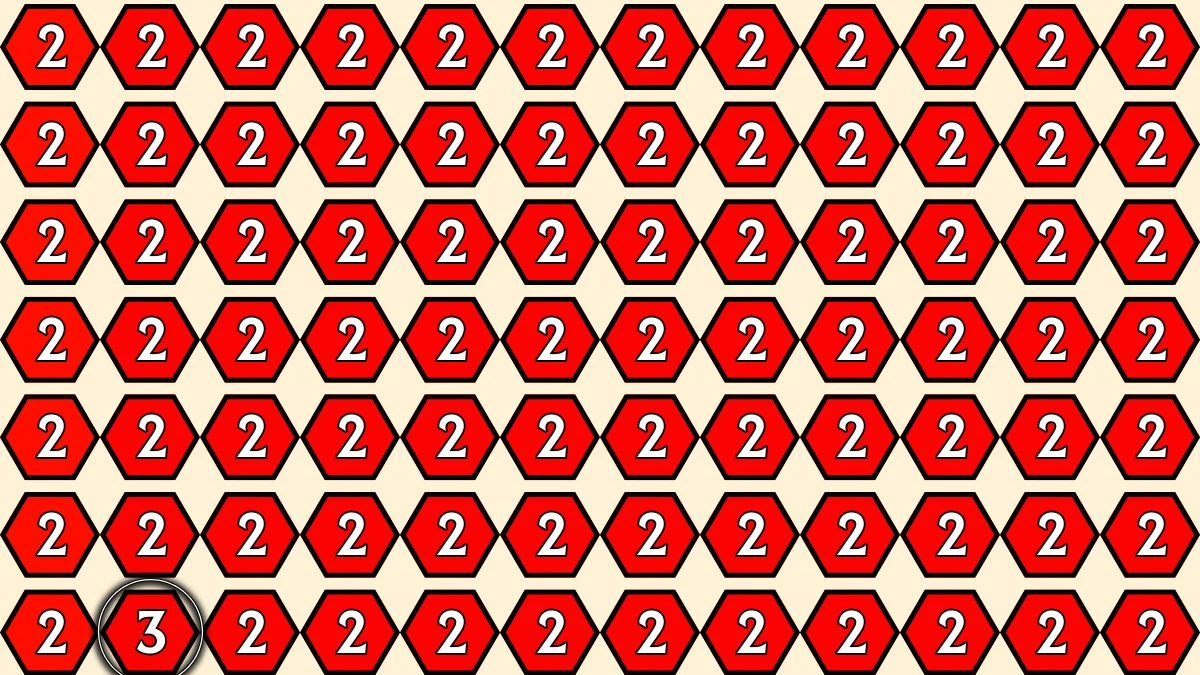 Brain Teaser: Within 5 Seconds Spot The Number 3 among 2