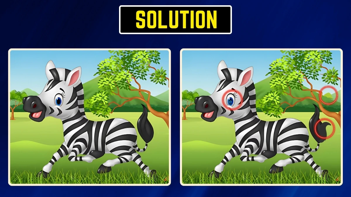 Brain Teaser: Within 8 Seconds Spot the 3 Differences in the Zebra Pictures