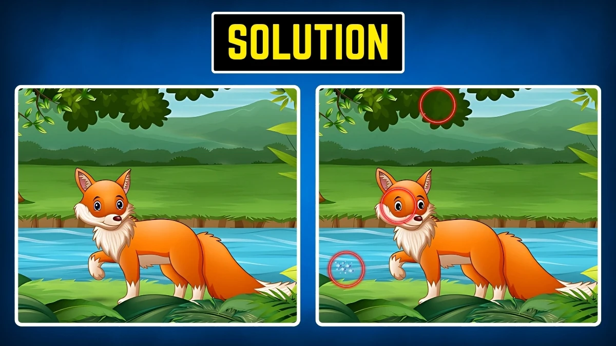 Brain Teaser: Within 9 Seconds Spot the 3 Differences in the Fox Pictures