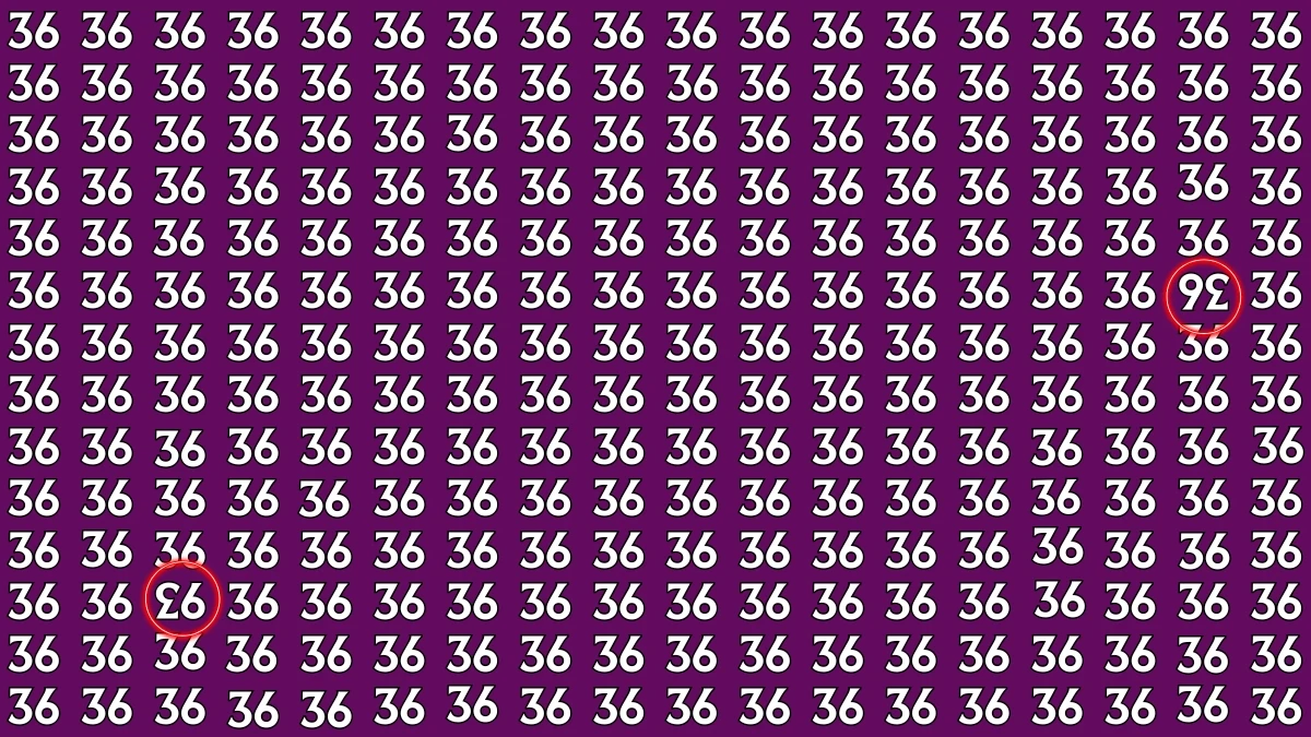 Optical Illusion: Within 6 Seconds Spot The Inverted 36 and 93 among 36s