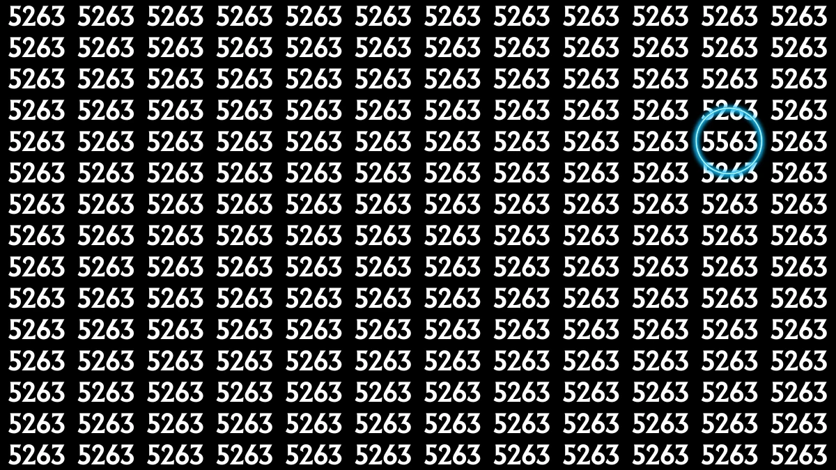 Optical Illusion: Within 6 Seconds Spot The Number 5563 among 5263