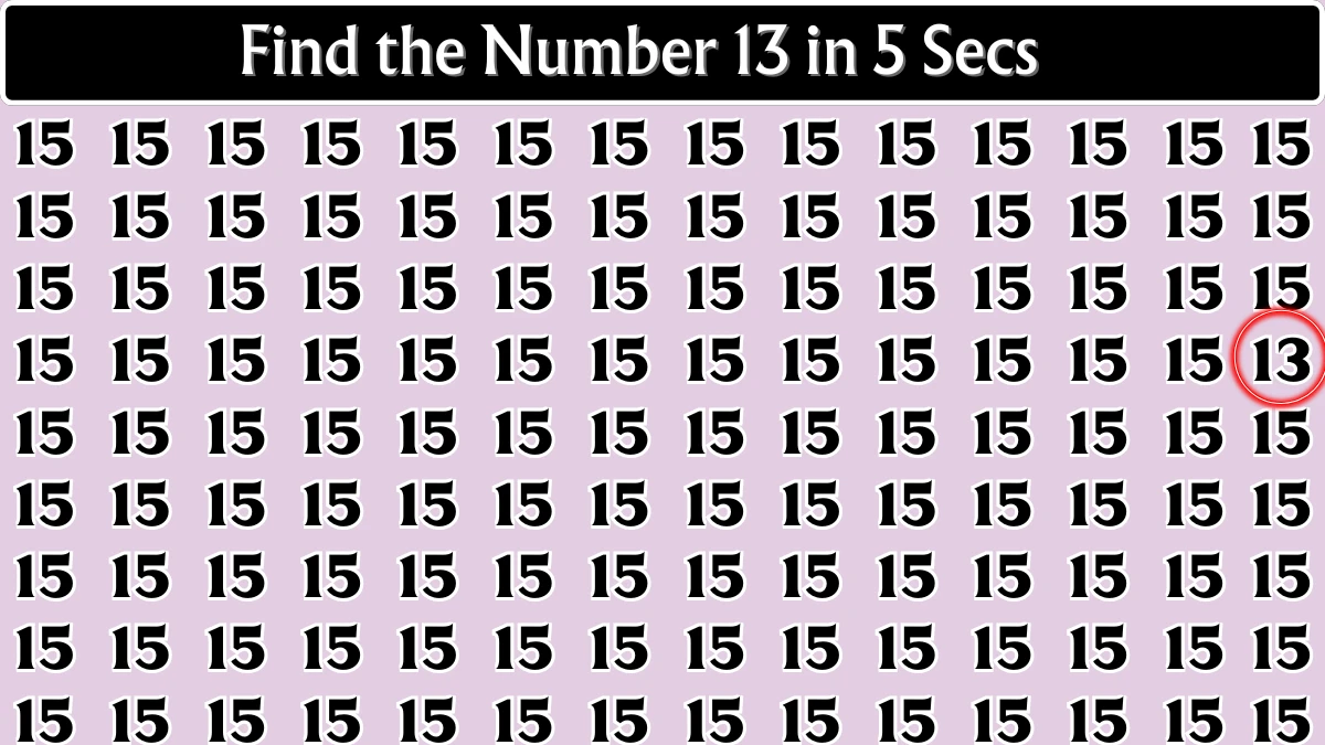 Observation Find it Out: Within 5 Seconds Spot The Number 13 among 15