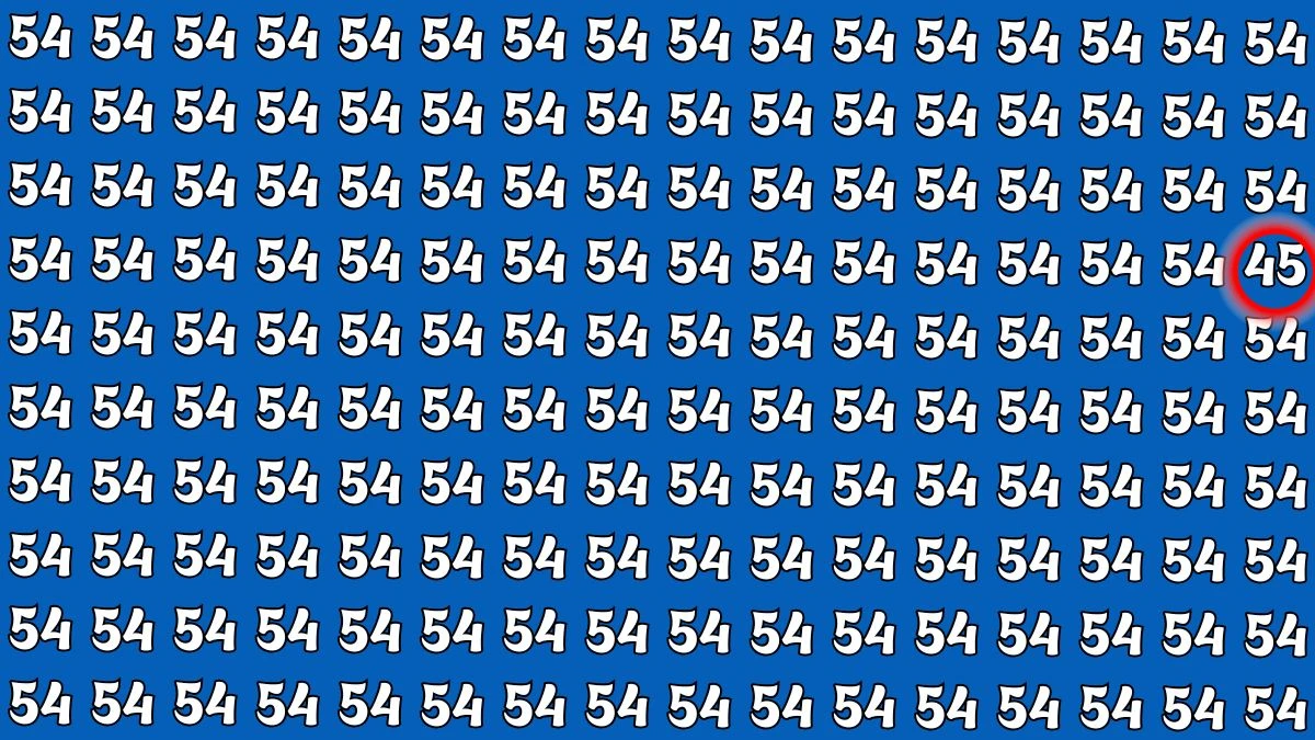 Observation Find it Out: Within 5 Seconds Spot The Number 45 among 54