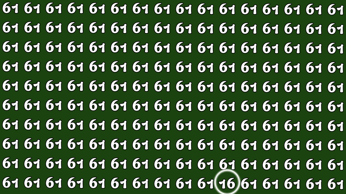 Observation Find it Out: Within 6 Seconds Spot The Number 16 among 61