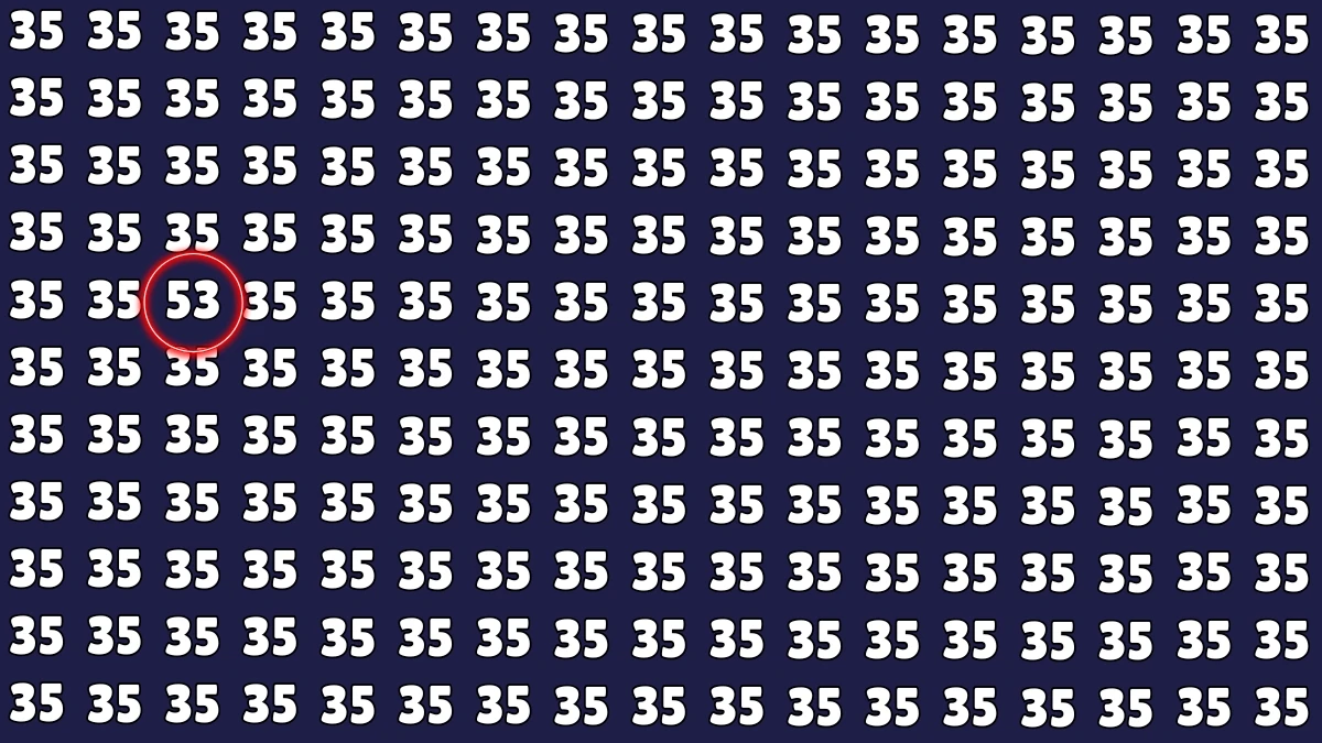 Observation Find It Out: Within 6 Seconds Spot The Number 53 among 35