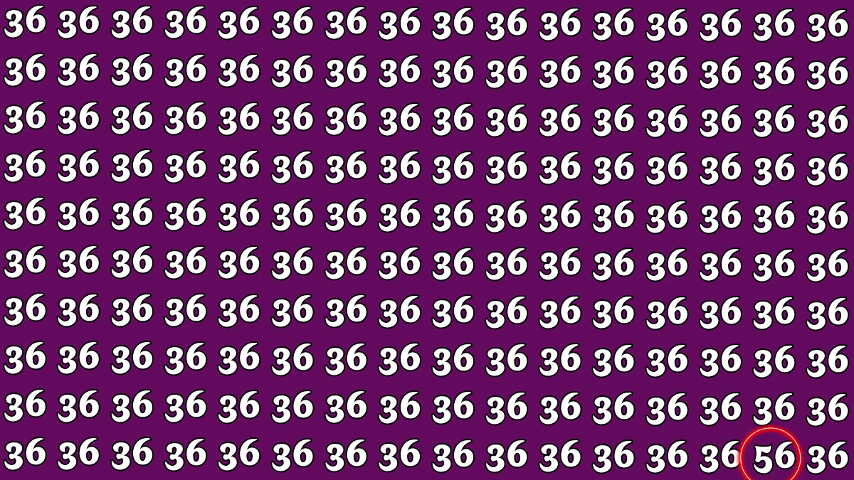 Observation Find it Out: Within 6 Seconds Spot The Number 56 among 36