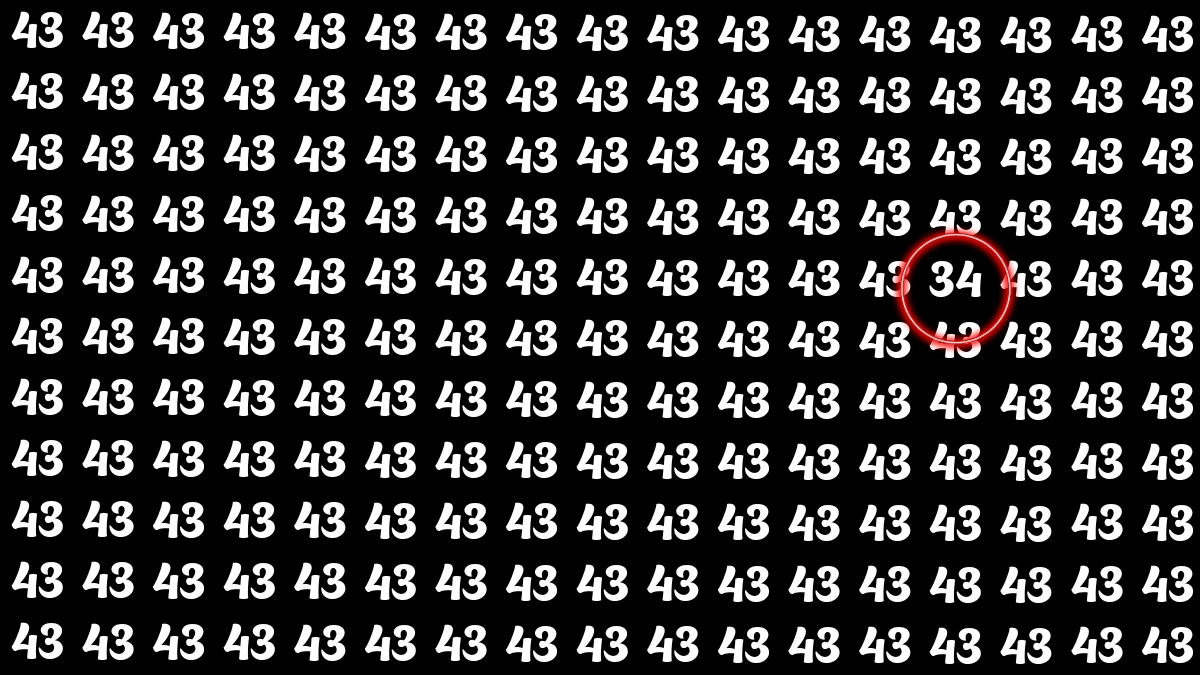 Observation Find it Out: Within 7 Seconds Spot The Number 34 among 43