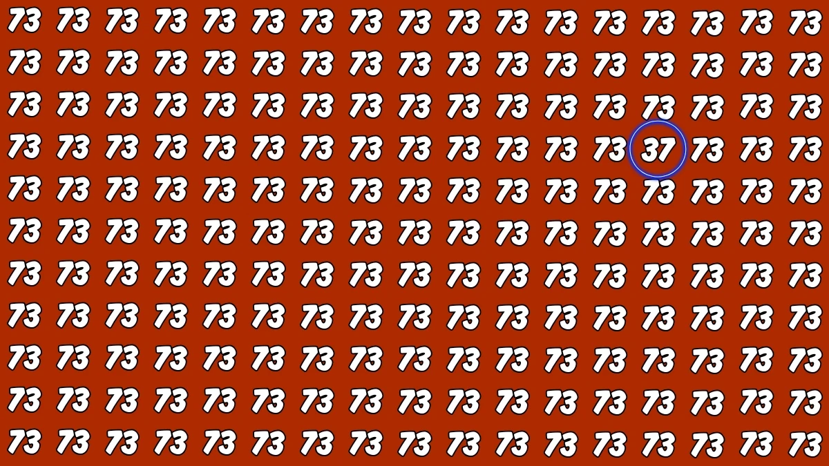 Observation Find It Out: Within 7 Seconds Spot The Number 37 among 73