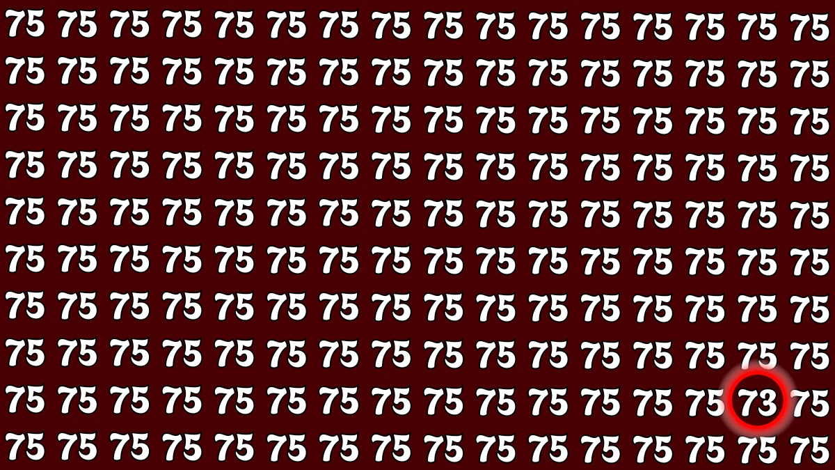 Observation Find it Out: Within 7 Seconds Spot The Number 73 among 75