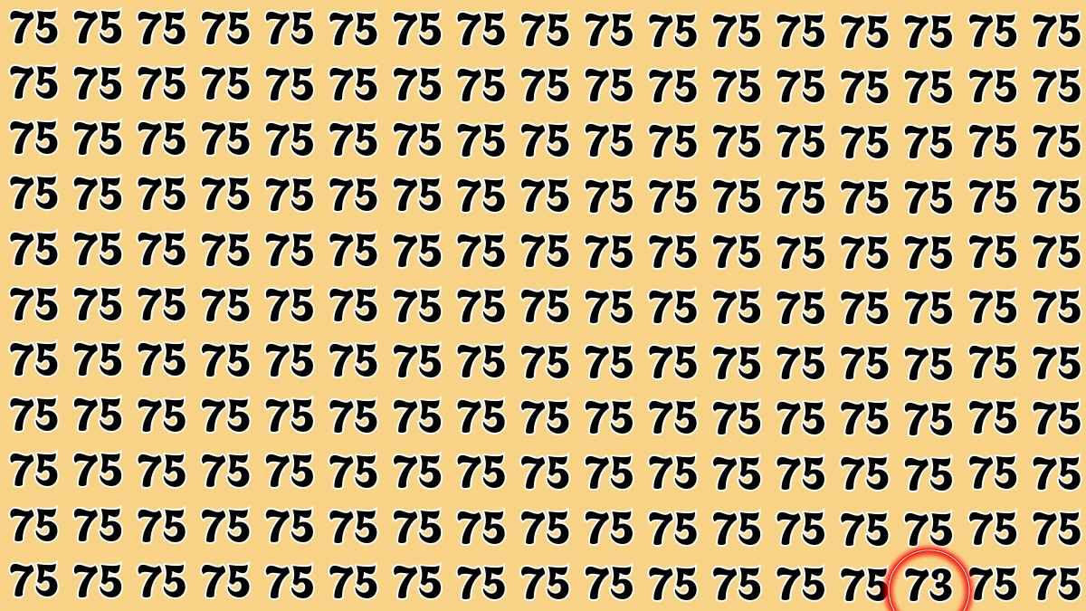 Observation Find it Out: Within 8 Seconds Spot The Number 73 among 75