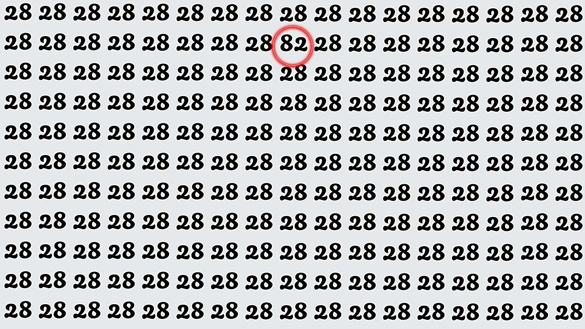 Observation Find it Out: Within 8 Seconds Spot The Number 82 among 28