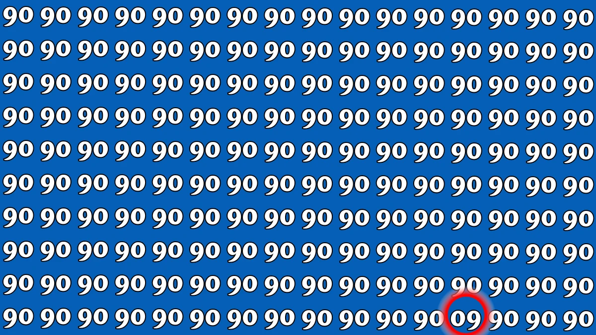 Observation Find it Out: Within 9 Seconds Spot The Number 09 among 90