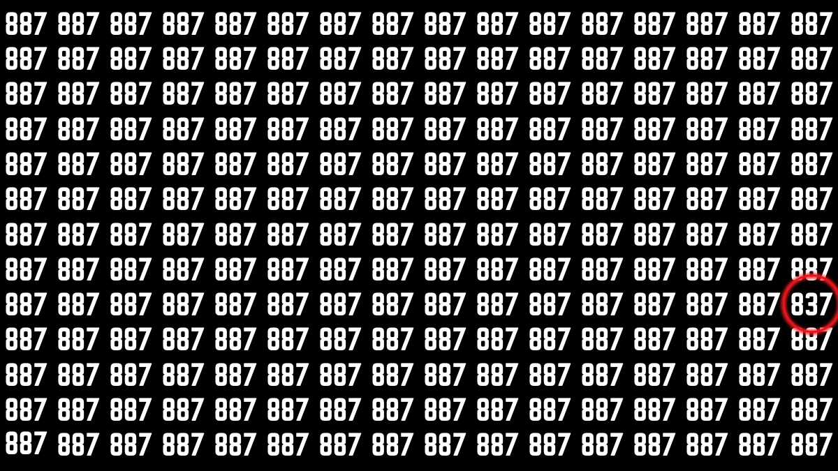Optical Illusion: 5 Seconds. One Number. Can You Find 837?