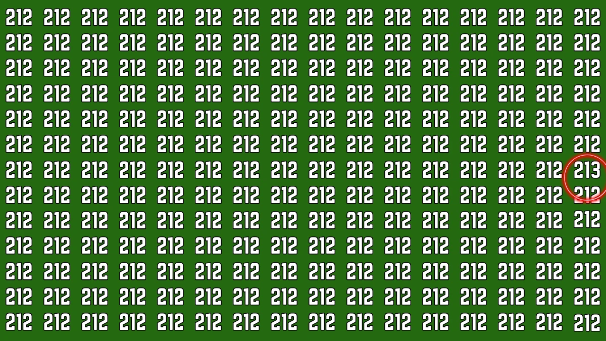 Optical Illusion 7 Seconds Challenge: Only People with Eagle Eyes Can spot the Number 213