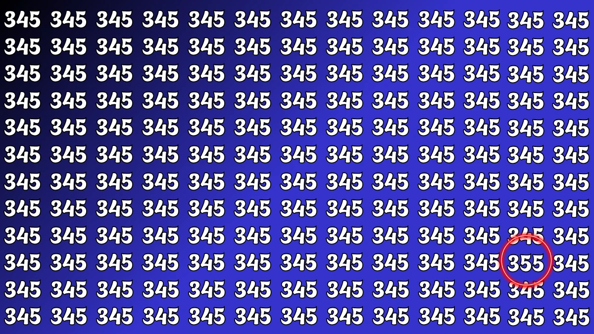 Optical Illusion 7 Seconds Challenge: Only People with Eagle Eyes Can spot the Number 355