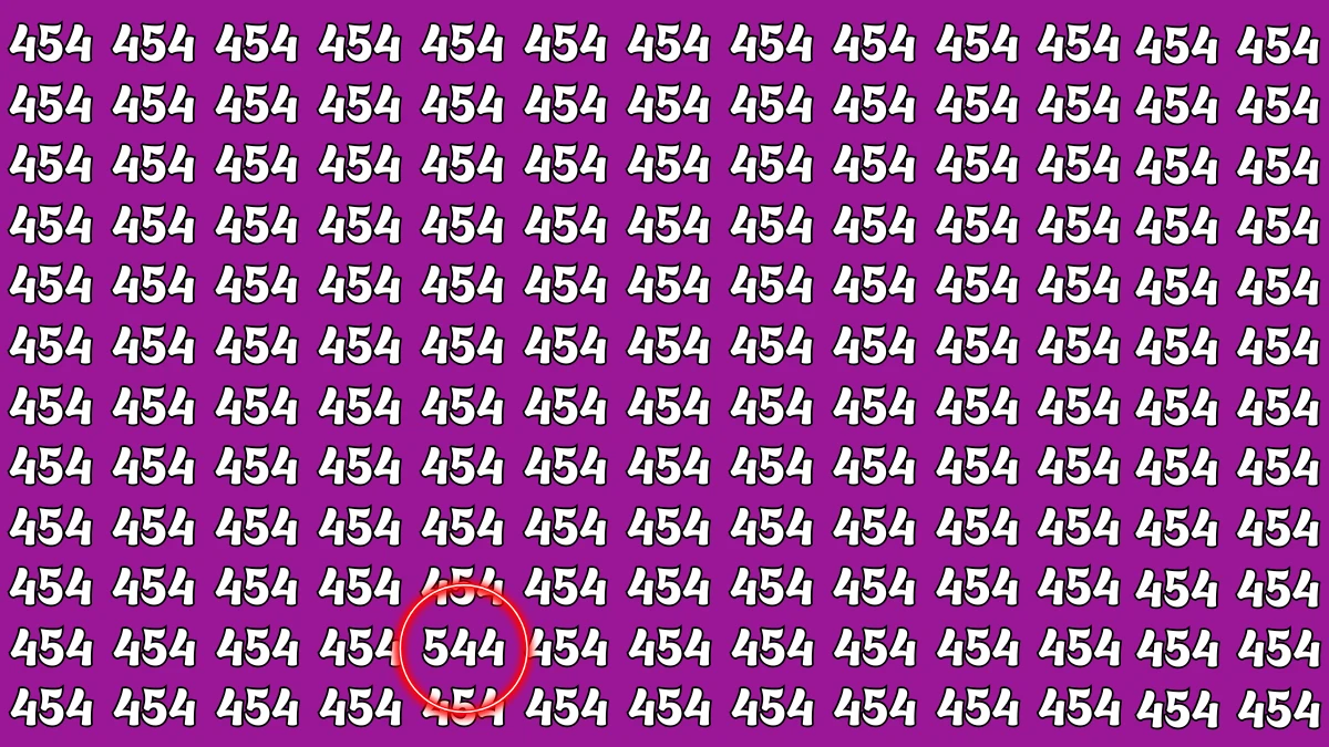 Optical Illusion 7 Seconds Challenge: Only People with Eagle Eyes Can spot the Number 544