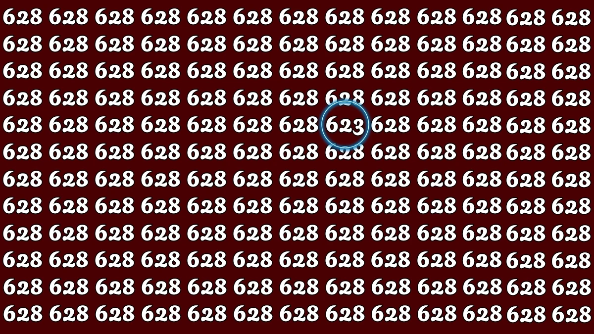 Optical Illusion 7 Seconds Challenge: Only People with Eagle Eyes Can spot the Number 623