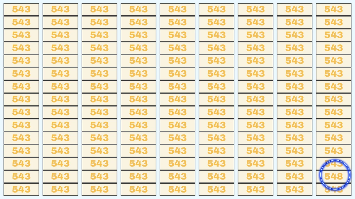 Optical Illusion 8 Seconds Challenge: Only People with Eagle Eyes Can spot the Number 548 among 543
