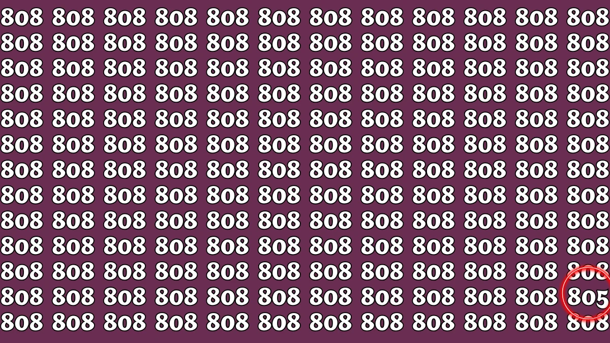 Optical Illusion 8 Seconds Challenge: Only People with Eagle Eyes Can spot the Number 805