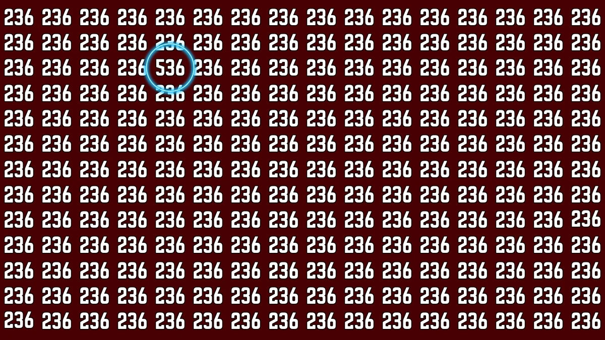 Optical Illusion: Can You Spot 536 in 6 Seconds? Only Unique Minds Can!