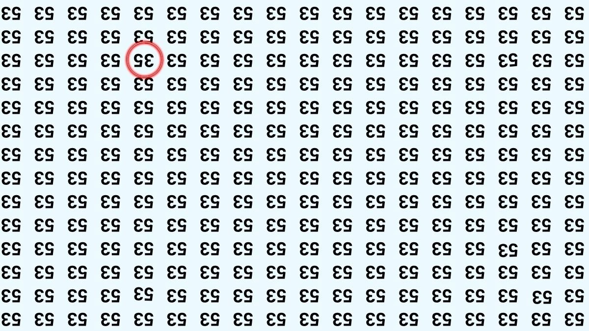 Optical Illusion IQ Test: Are You A Genius? Within 5 Seconds Spot The Inverted 35 among Inverted 53s