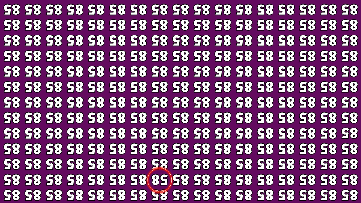 Optical Illusion IQ Test: Are You A Genius? Within 5 Seconds Spot The Inverted 58 among Inverted 85s
