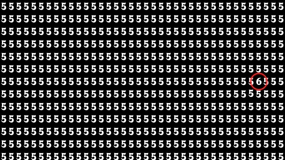Optical Illusion IQ Test: Are You A Genius? Within 5 Seconds Spot The Number 6 among 5