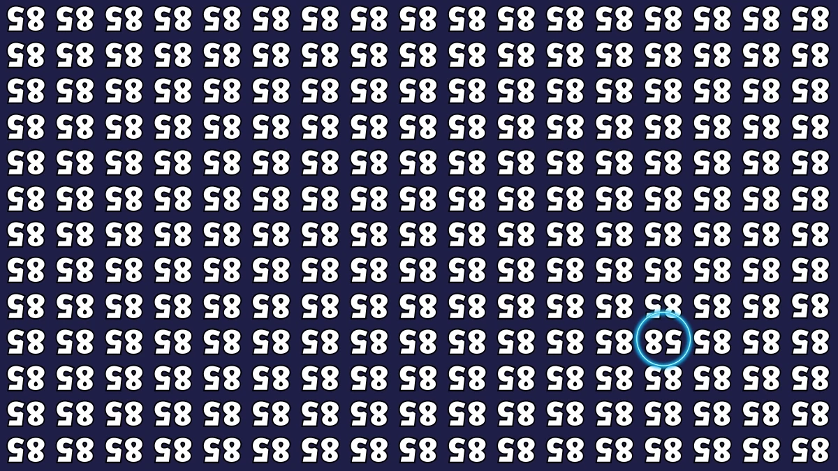 Optical Illusion IQ Test: Are You A Genius? Within 6 Seconds Spot The Inverted 58 among Inverted 85s