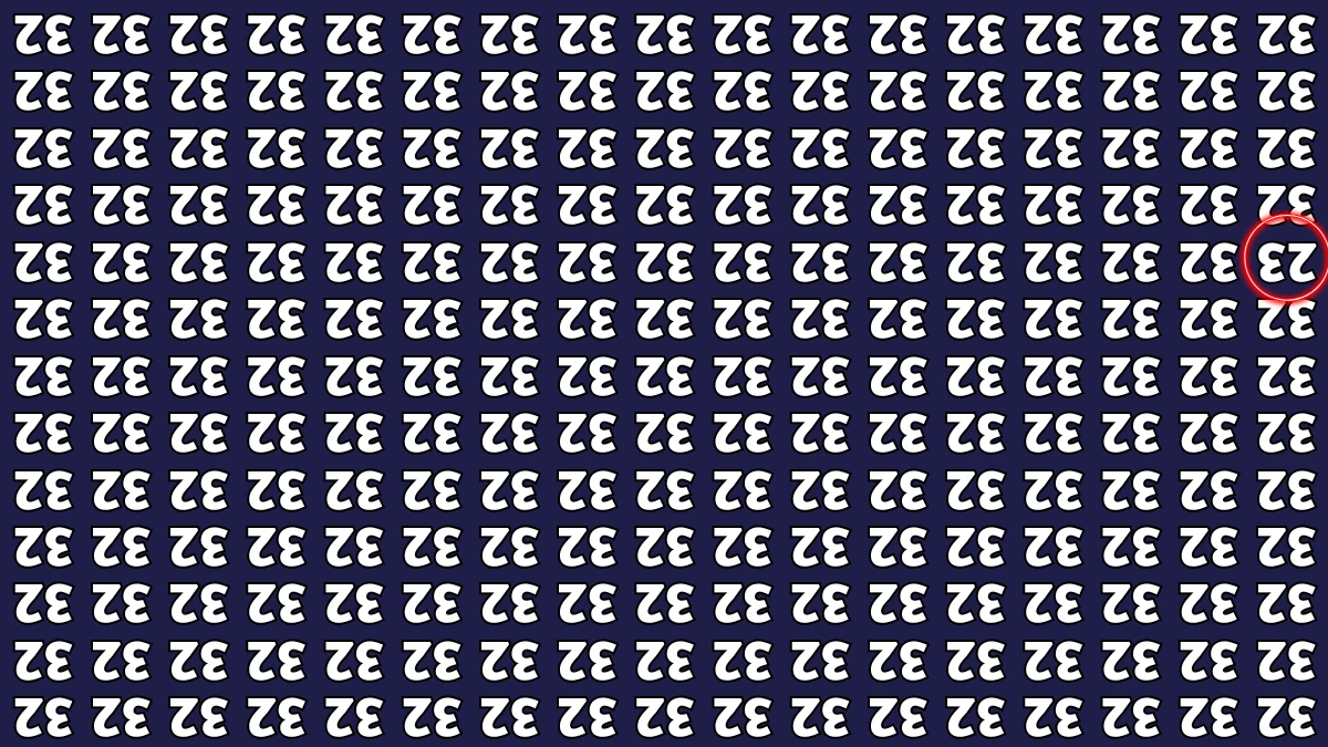 Optical Illusion IQ Test: Are You A Genius? Within 7 Seconds Spot The Inverted 23 among Inverted 32s