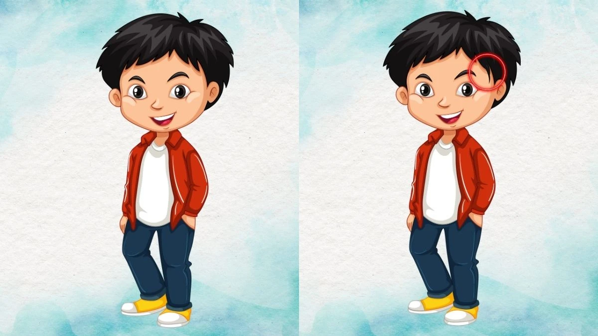 Optical Illusion IQ Test: They are twins, but what makes them different?