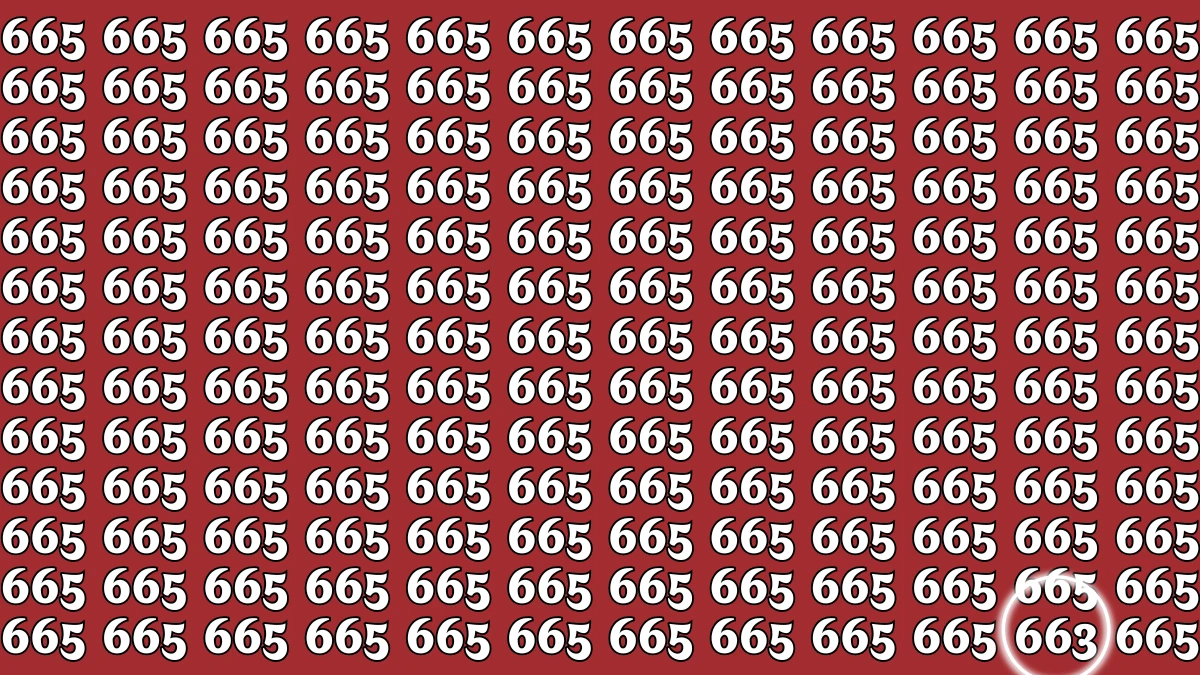 Optical Illusion: Only 1 in 10 Can Find the Hidden 663 in This Mind-Bending Puzzle within 5 secs