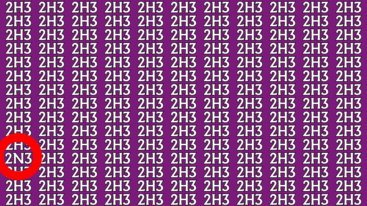 Optical Illusion: Only Sharp Eyes Can Find the Hidden 2N3 among 2H3s within 8 Seconds
