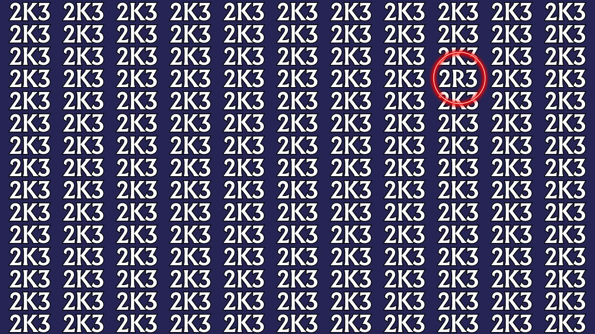 Optical Illusion: Only Sharp Eyes Can Find the Hidden 2R3 among 2K3s within 8 Seconds