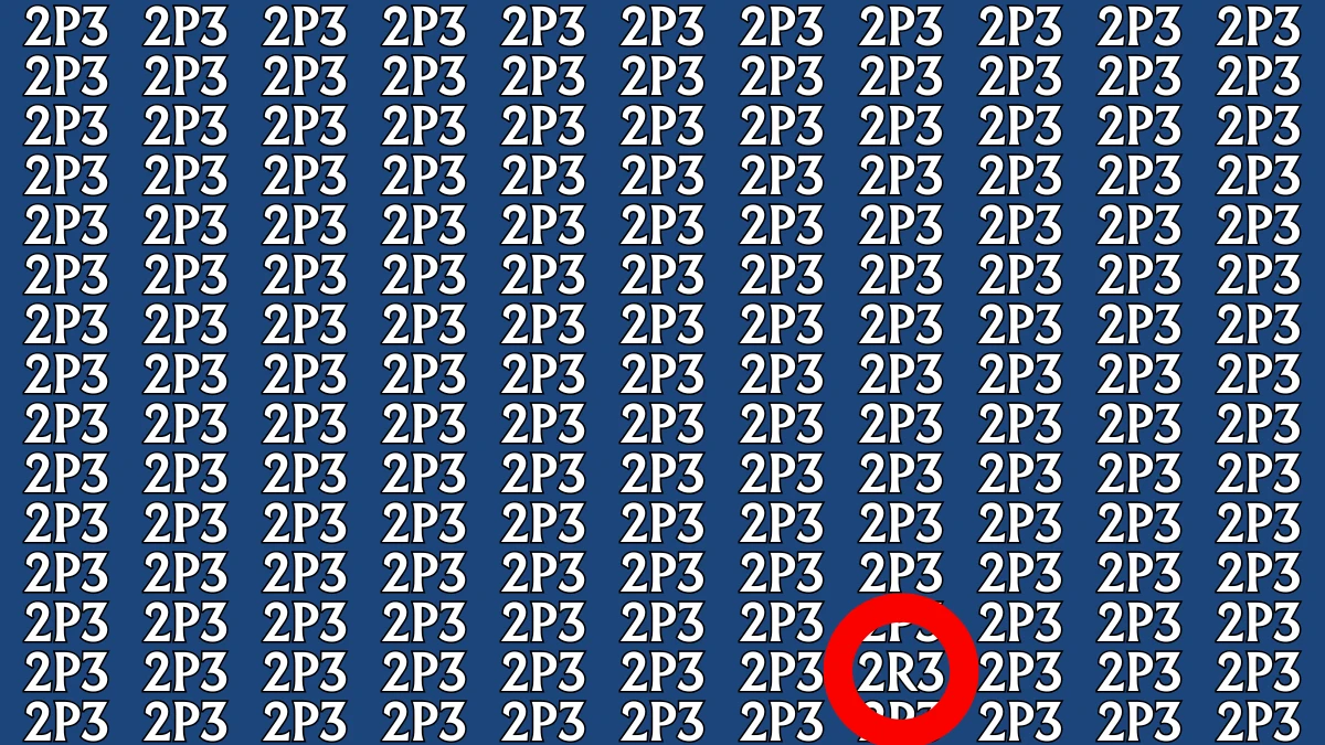 Optical Illusion: Only Sharp Eyes Can Find the Hidden 2R3 among 2P3s within 8 Seconds
