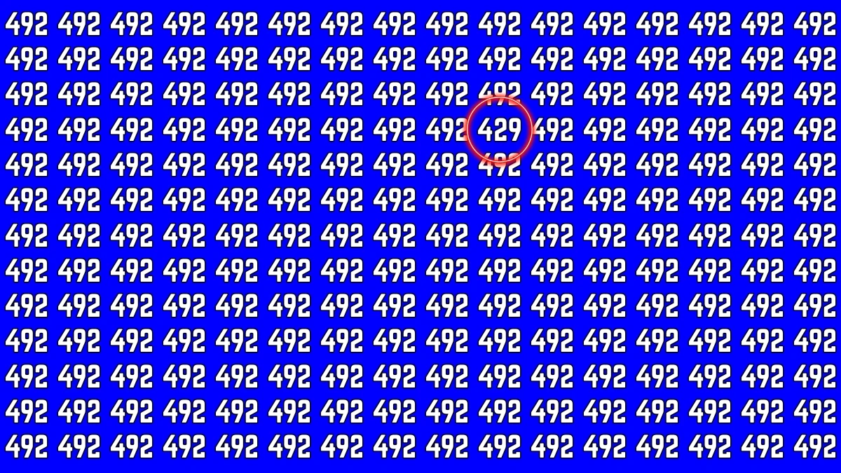 Optical Illusion: Within 5 Seconds If You Can Spot 429, Your Brain Works Differently!