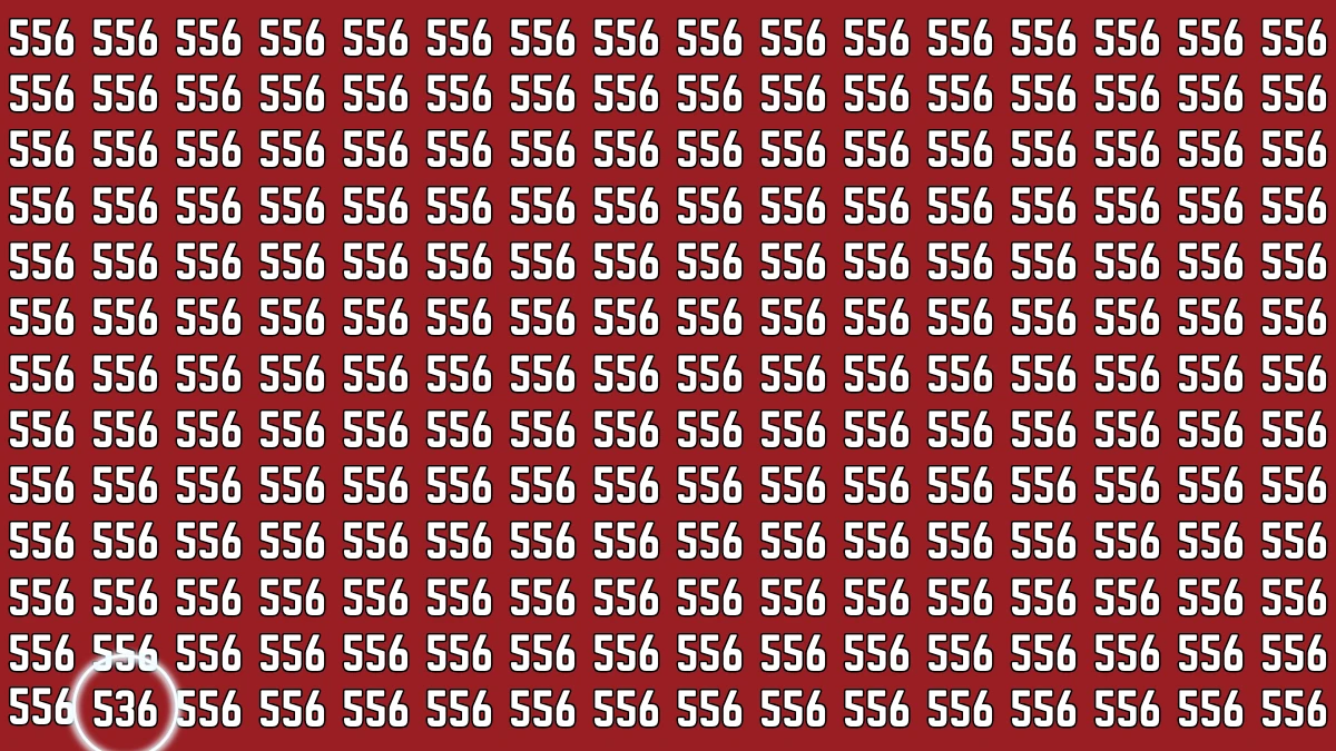 Optical Illusion: Within 5 Seconds If You Can Spot 536, Your Brain Works Differently!