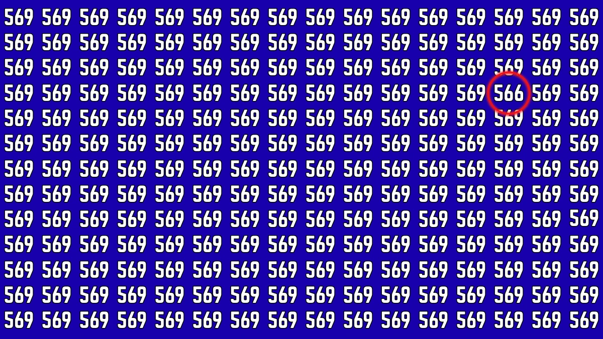 Optical Illusion: Within 5 Seconds If You Can Spot 566, Your Brain Works Differently!
