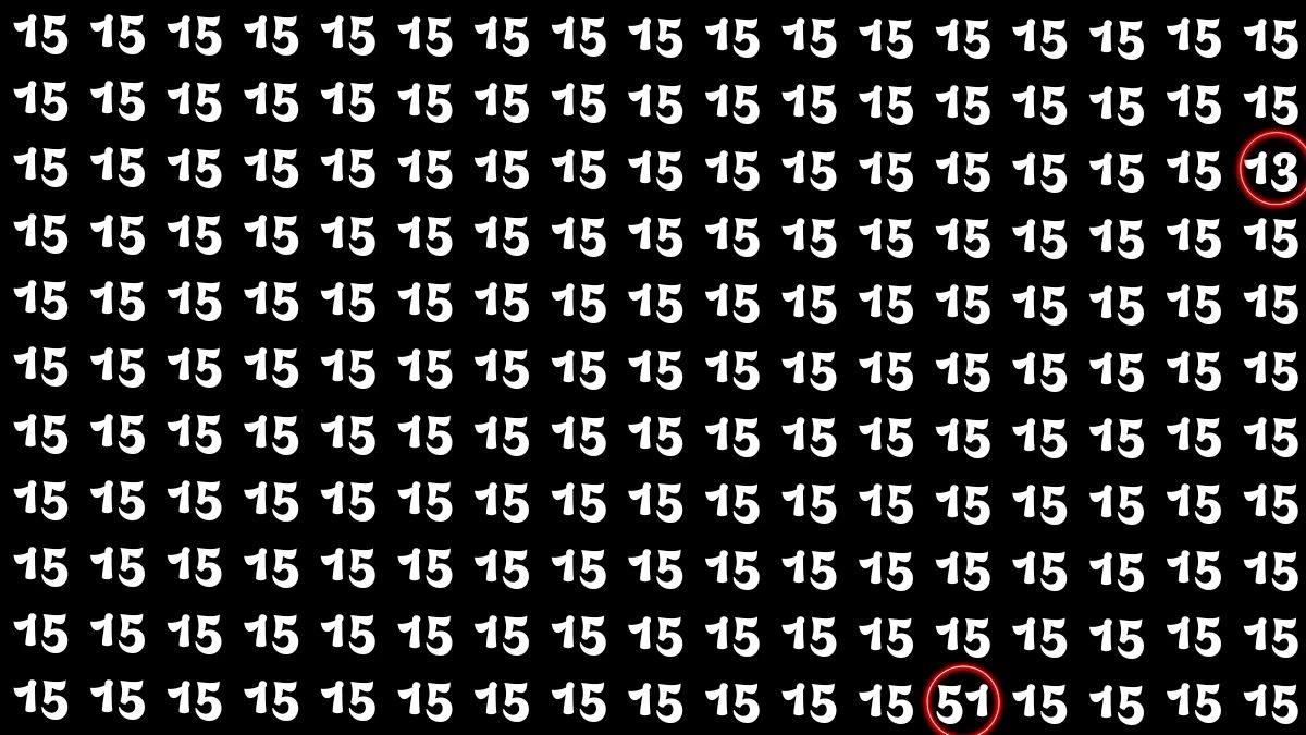 Optical Illusion: Within 5 Seconds Spot The Number 13 and 51 among 15