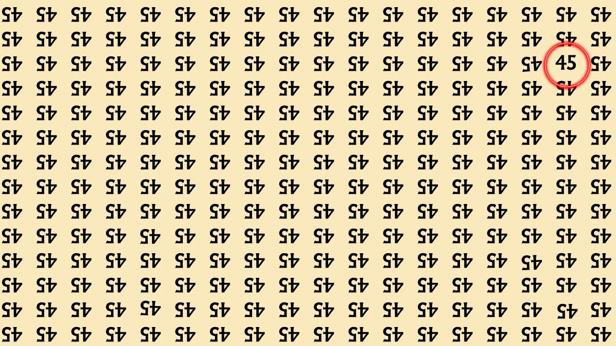 Optical Illusion: Within 5 Seconds Spot The Number 45 among Inverted 45s