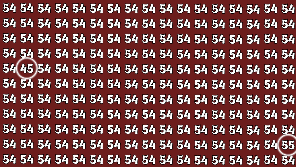 Optical Illusion: Within 5 Seconds Spot The Number 45 and 55 among 54