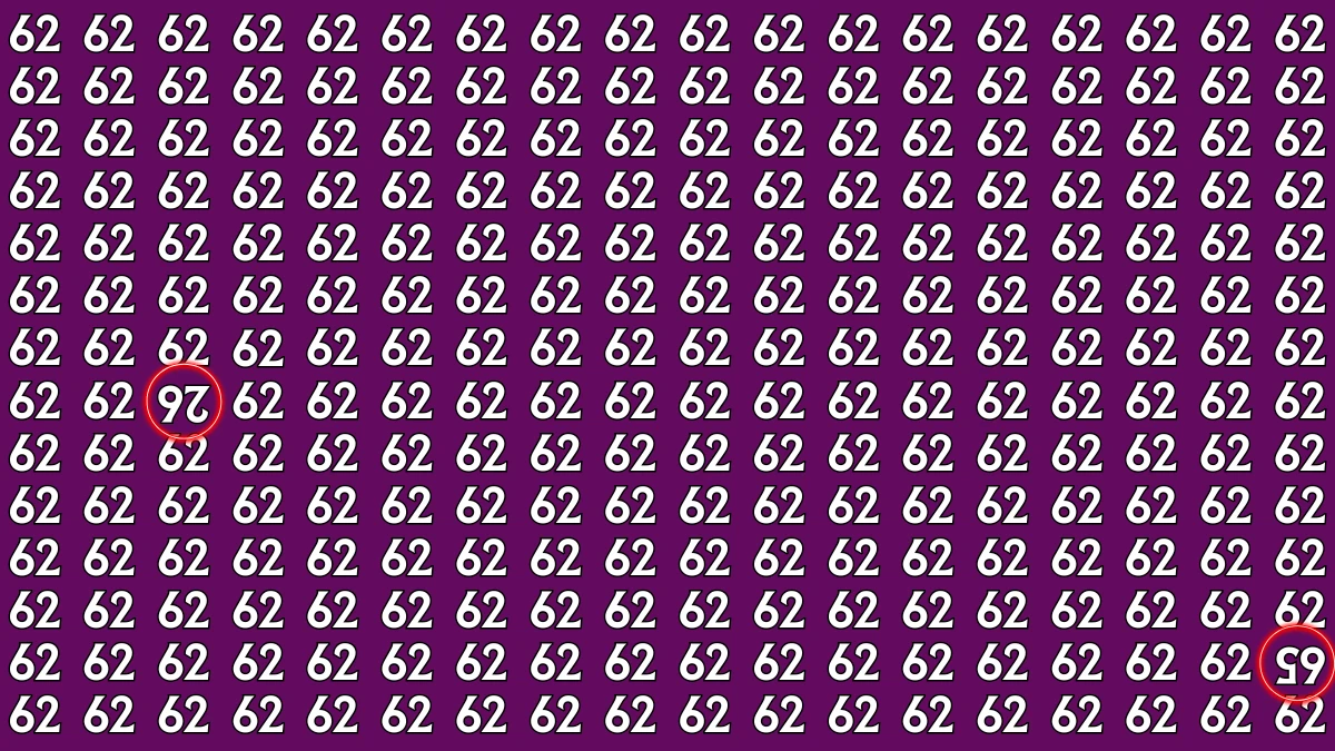 Optical Illusion: Within 6 Seconds Spot The Inverted 26 and 65 among 62s