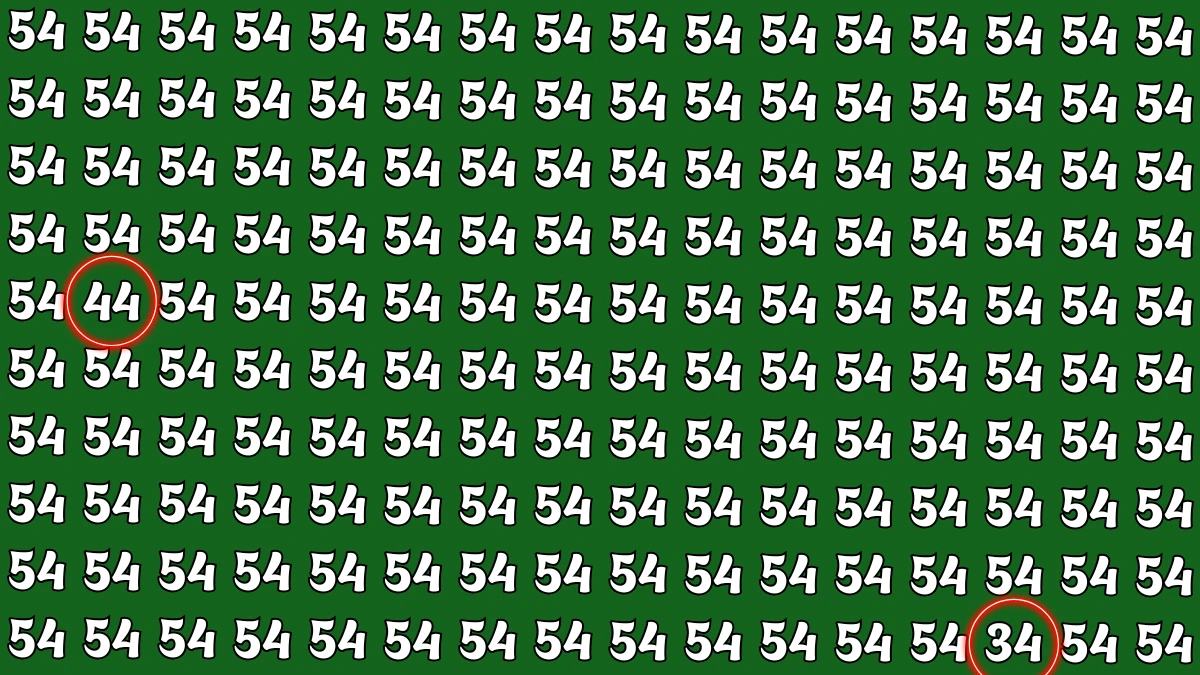Optical Illusion: Within 6 Seconds Spot The Number 44 and 34 among 54